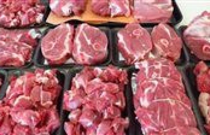 انخفاض أسعار اللحوم 20% بفضل دعم الدولة لصغار المربين.. خطوة نحو الاكتفاء الذاتي