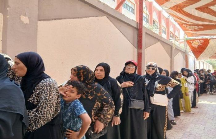 إقبال كثيف من السيدات بانتخابات الشيوخ في الشهداء بالمنوفية