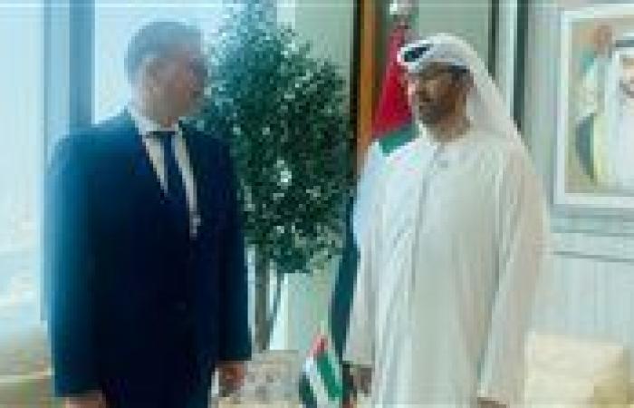 البترول: لدينا رغبة لعمل مشروعات إستراتيجية لتعزيز التعاون مع الإمارات
