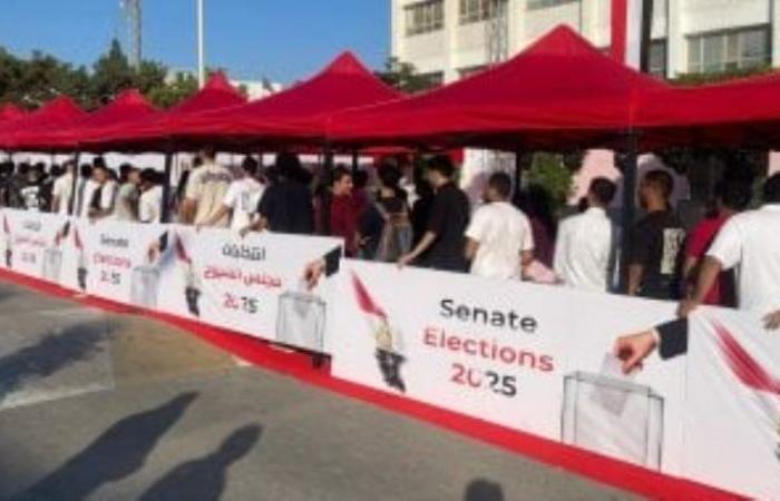 تزاحم المواطنين أمام اللجان بمدينة نصر للمشاركة فى انتخابات الشيوخ.. صور