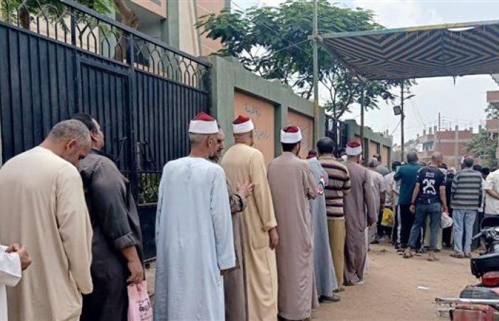 انتخابات الشيوخ 2025.. وفاة موظف داخل لجنة في الشرقية