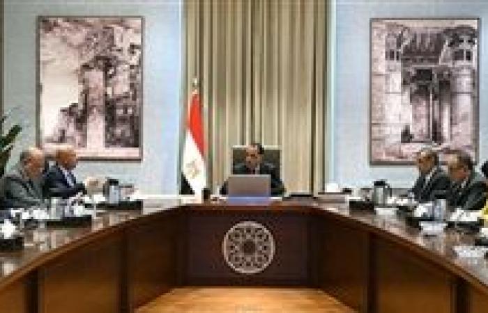 رئيس الوزراء يتابع جهود دعم وتوطين الصناعة في مصر