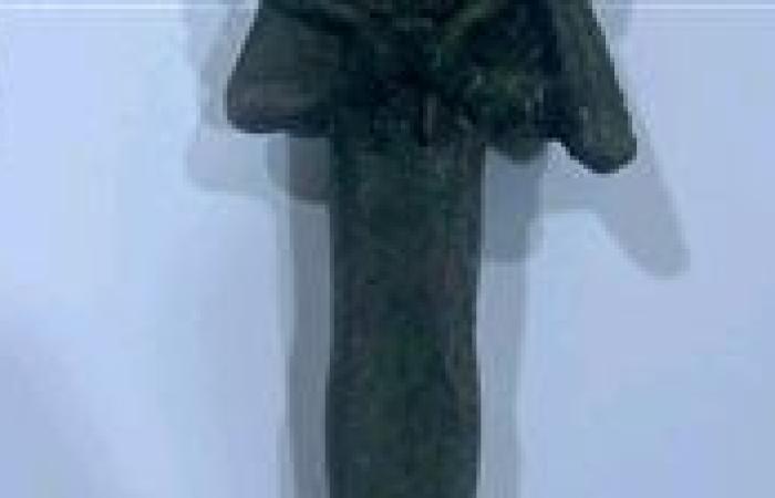 بقيمة 3.578 مليار جنيه.. جمارك نويبع تضبط قطع وعملات معدنية أثرية