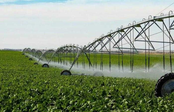 وديان هولدنج تُعلن الانتهاء من استلام أراضي المرحلة الأولى من مشروع الريف المصري بمساحة 5000 فدان