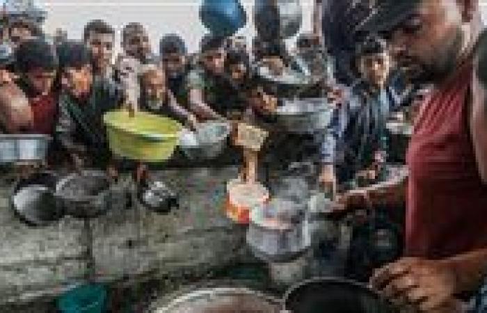 بنك الطعام المصري ركيزة إنسانية في وجه مجاعة غزة