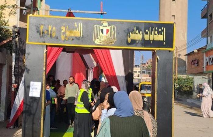 انتخابات الشيوخ 2025.. إقبال كبير للسيدات على لجان الاقتراع بكفر شكر في القليوبية