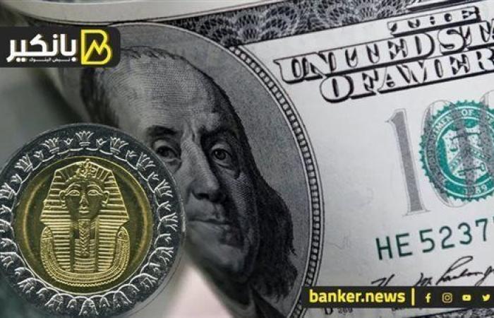وداعا لأزمة الدولار.. الجنيه المصري يحقق مكاسب غير مسبوقة.. مفاجآت سارة تنتظر المصريين