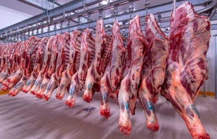 الكندوز بـ 400 جنيه.. أسعار اللحوم اليوم الثلاثاء 5-8-2025
