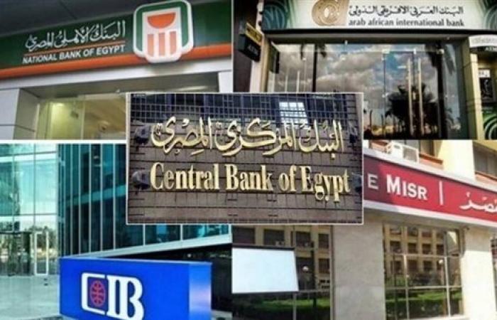 كاش باك وتقسيط بدون فوائد.. أفضل عروض البنوك على بطاقات الائتمان في صيف 2025
