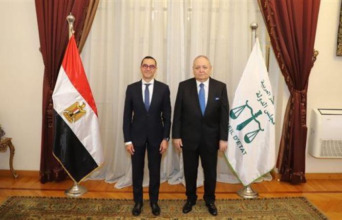 رئيس مجلس الدولة يستقبل وزير الاستثمار والتجارة الخارجية لتقديم التهنئة له