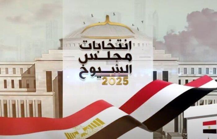«حماة الوطن»: الإقبال على الانتخابات يؤكد تمسك الشعب المصري بممارسة حقوقه الدستورية