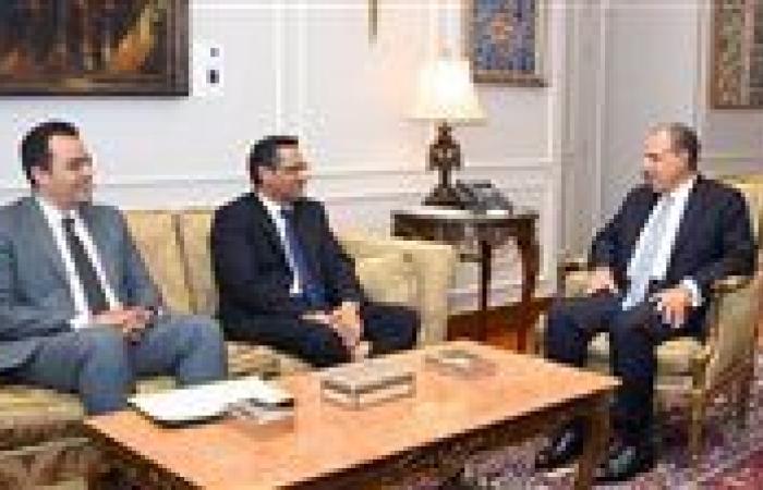 وزير الخارجية ونقيب الصحفيين يبحثان سبل تعزيز التعاون المشترك