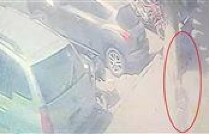 أول قرار من النيابة بشأن المتهم بنحر طفل داخل سوبر ماركت بالمهندسين