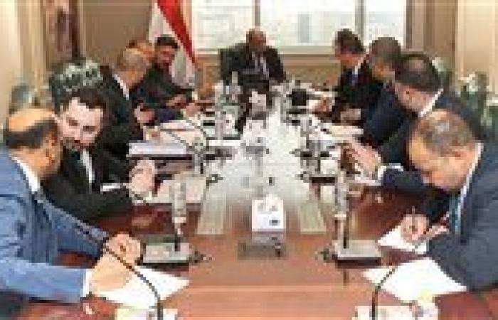 وزير الكهرباء يبحث مع «الطاقة النووية» الروسية زيادة نسبة المكون المحلى بالمشروعات المشتركة