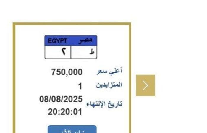 «وصلت لـ 750 ألف جنيه».. التزايد على لوحة سيارة مميزة