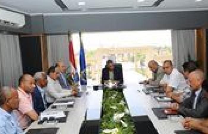 ننشر تفاصيل لقاء محافظ اسوان برئيس مجلس إدارة شركة مصر العليا لتوزيع الكهرباء