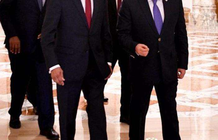 السيسي يؤكد موقف مصر الثابت والداعم لوحدة السودان.. فيديو