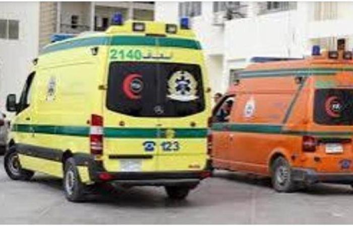مصرع شخص وإصابة 14 آخرين في انقلاب ميكروباص بطريق ملوي الصحراوي بالمنيا