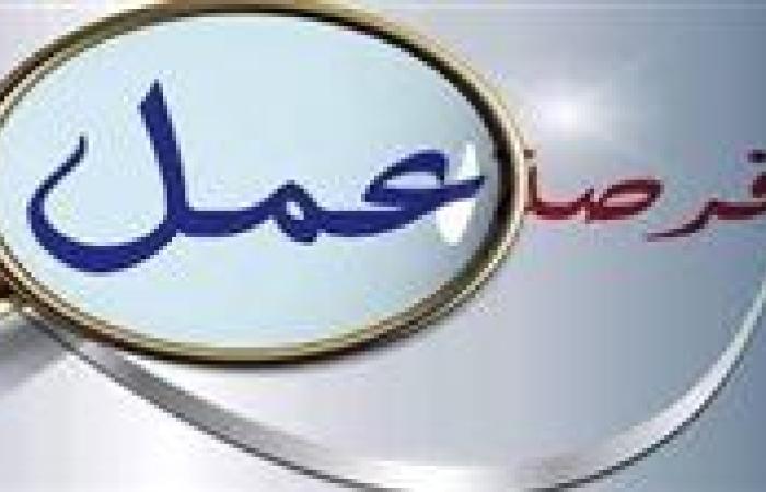 بنك القاهرة يعلن عن وظائف شاغرة لعام 2025