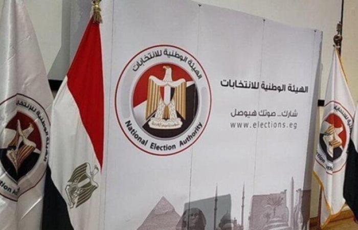 الهيئة الوطنية للانتخابات في مصر تكشف موعد إعلان نتيجة انتخابات "الشيوخ"
