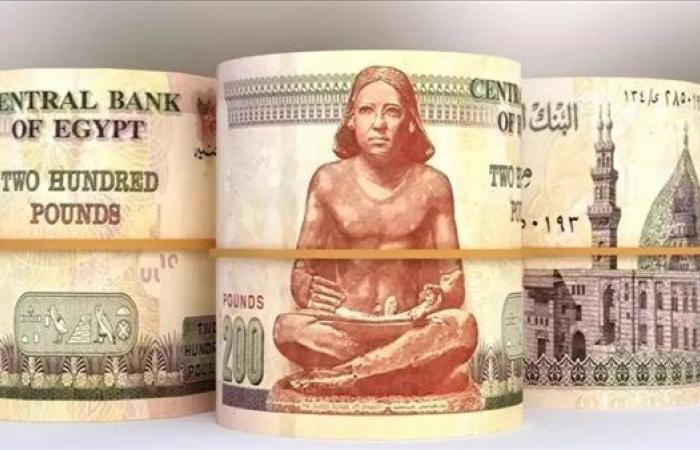 اعرف العائد السنوي لأفضل شهادات الادخار البلاتينية