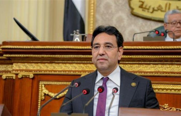 أيمن محسب: موقف مصر من احتلال غزة يعبر عن ضمير الأمة العربية ورفض للإبادة والتجويع