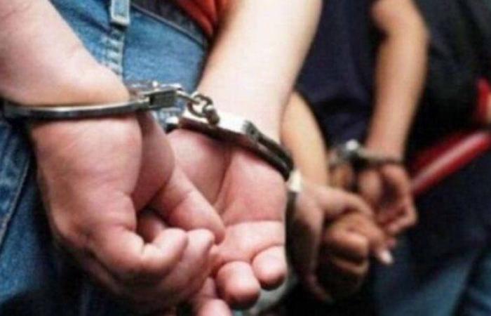 كشف ملابسات اعتداء شاب على سيدة مسنة في الدقهلية