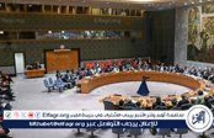 مجلس الأمن الدولي يعقد اجتماعًا طارئًا لبحث خطط إسرائيل بشأن احتلال غزة مساء السبت