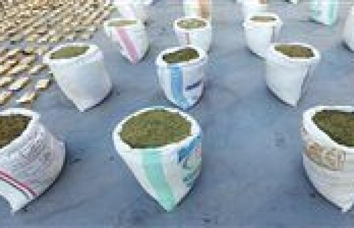 سقوط تاجري السموم بالإسماعيلية بحوزتهما مخدرات بـ255 مليون جنيه