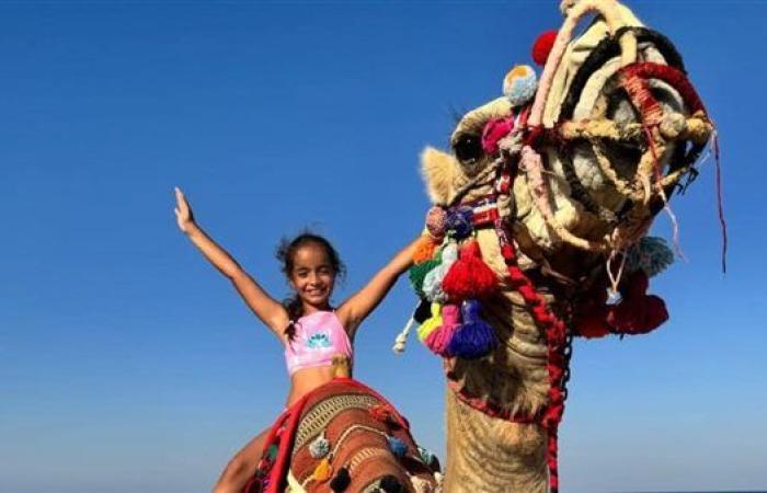 بداية من غد السبت.. مطار مرسى علم يستقبل 185 رحلة طيران دولية على مدار أسبوع