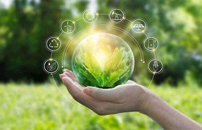 مشروع قومي ضخم بين مصر والإمارات.. وداعا للبصمة الكربونية وأهلا بتوفير الطاقة