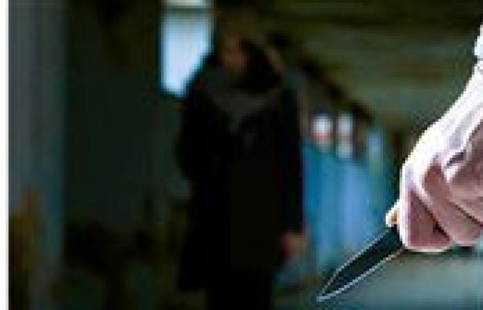 تفاصيل إصابة طالب تدخل لفض مشاجرة في دكرنس بالدقهلية