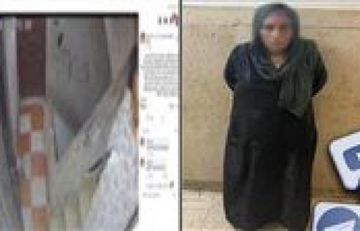 الداخلية تكشف حقيقة فيديو سيدة تطرق الأبواب وهي تحمل سكينا في الجيزة