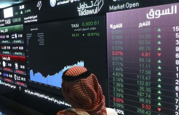 الأسهم السعودية تهبط مع تراجع أرباح الشركات.. ومصر تسجل ارتفاعا قياسيا