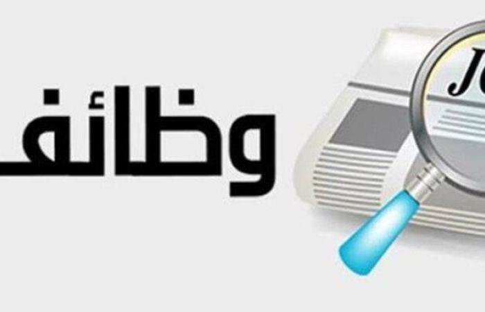 وزارة الشباب تعلن عن وظائف لجميع المؤهلات برواتب 9000 جنيه شهريا