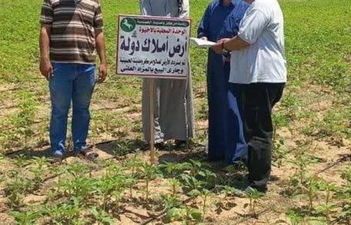 انطلاق فعاليات المرحلة الأولى للموجة 27  لإزالة التعديات بالشرقية