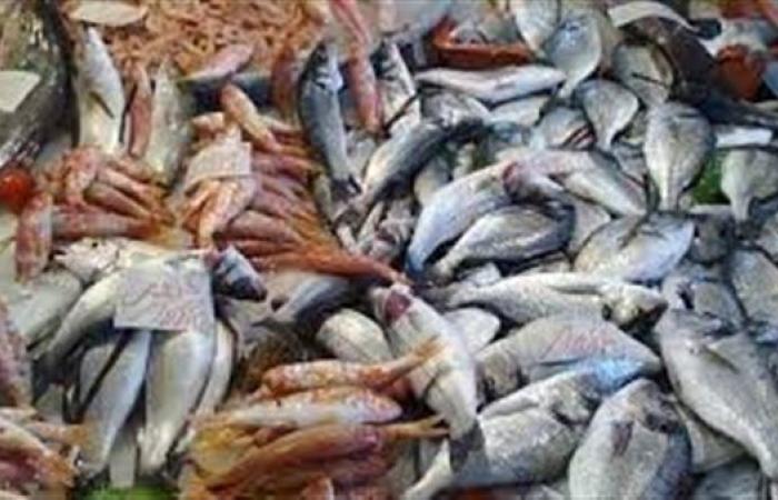المكرونة تتراجع والبلطي يرتفع..تعرف على أحدث أسعار السمك اليوم في سوق العبور