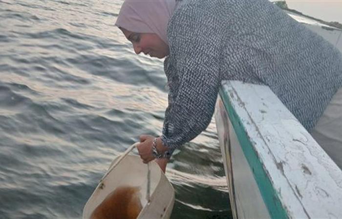 «حماية البحيرات»: دعم بحيرة قارون بيرقات الجمبري لتعزيز خطط إحيائها