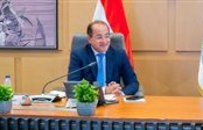 وزير المالية: دعم جهود تمكين القطاع الخاص المصري للتوسع بالأسواق الأفريقية