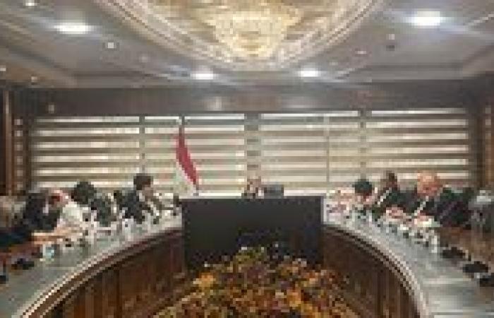 وزير الطيران يبحث التعاون مع مطار إنتشون الكوري لتعزيز قدرات المطارات المصرية