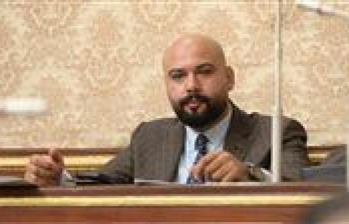 النائب إبراهيم الديب: مواجهة مخاطر التكنولوجيا ومنصات التواصل تتطلب وعيًا مجتمعيًا متكاملًا