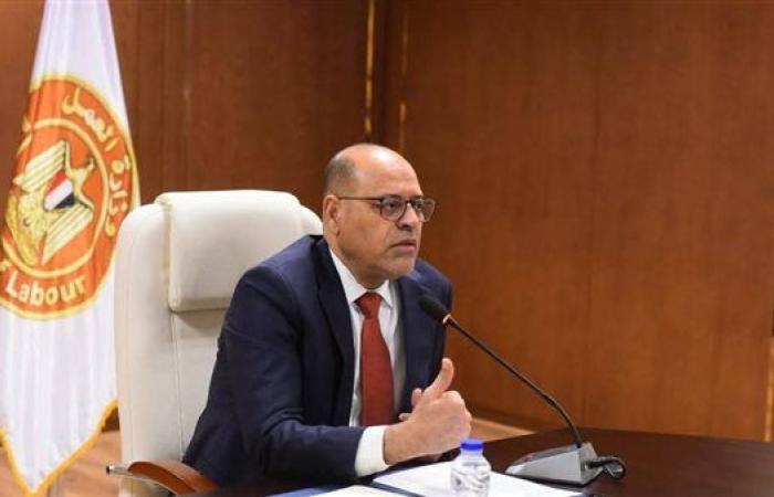 وزارة العمل تتواصل مع معهد هندسة الطيران للتفاوض بشأن المطالب العمالية المشروعة