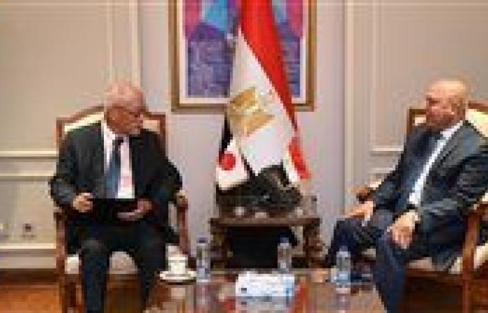 وصول أول قطار للخط الرابع للمترو إلى مصر مايو 2026