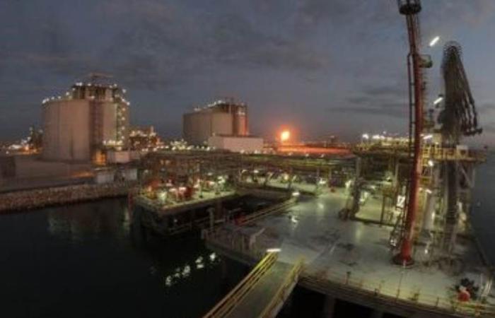 مصر تطرح مزايدة للتنقيب عن الغاز في البحر الأحمر  سبتمبر المقبل