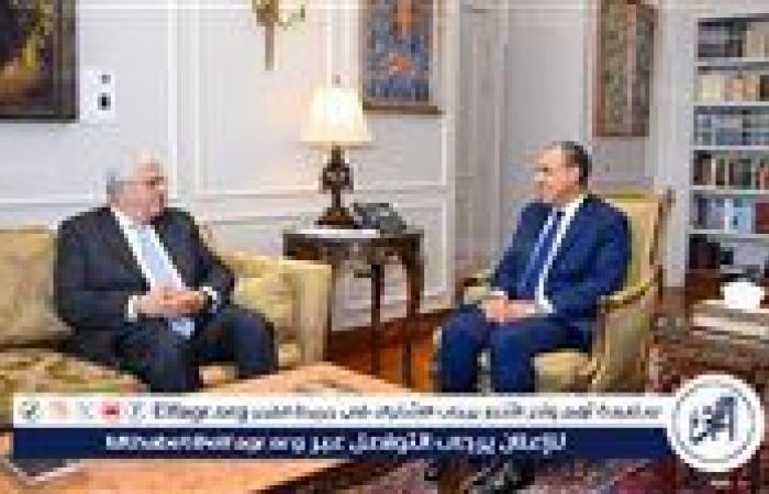 وزيرا الخارجية والتعليم العالي يبحثان تعزيز التعاون الأكاديمي ورعاية الطلاب المصريين بالخارج
