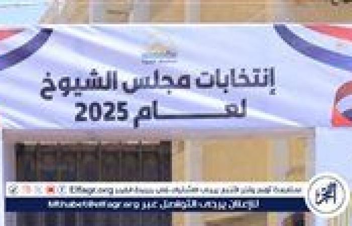 غدًا.. إعلان نتيجة انتخابات مجلس الشيوخ 2025 رسميًا من الهيئة الوطنية
