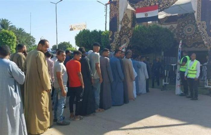 غدًا.. إعلان النتيجة الرسمية لانتخابات مجلس الشيوخ 2025