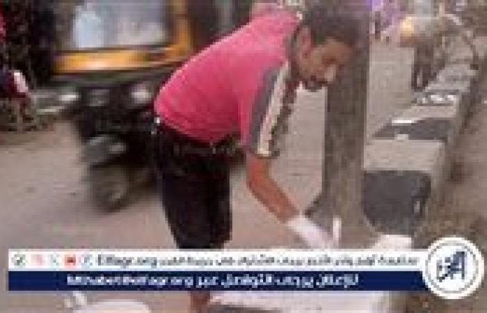 محافظ أسيوط يؤكد على استمرار أعمال تجميل شوارع وميادين صدفا