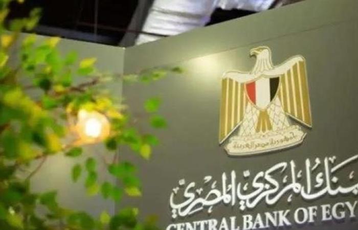 المركزي المصري يلزم البنوك بتسوية عمليات نقاط البيع داخل مصر بالجنيه فقط (مستند)