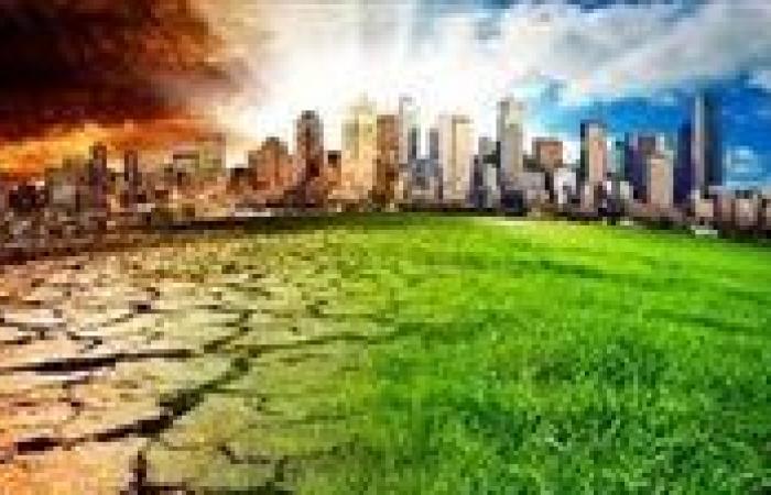 تغير المناخ وتهديد الأمن الغذائي العالمي|تفاصيل